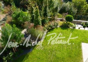 Petiaut Paysagiste - jardin avec buissons et arbustes