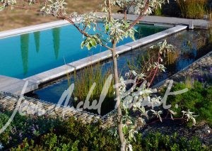 Jardin avec piscine biologique
