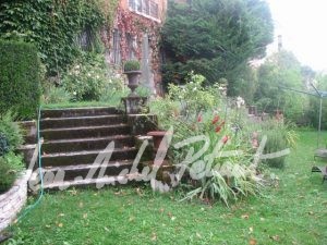 Jardin verdoyant avec charme